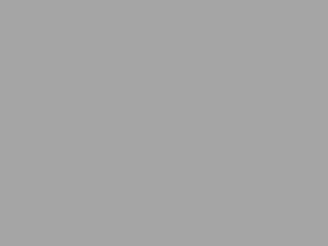 Alu Grey